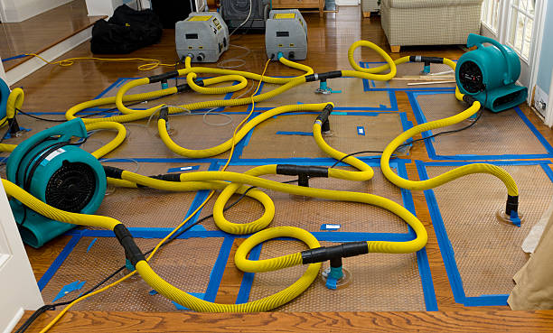 Professional Crawl Space Water Removal technician working in Barre, MA